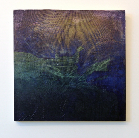 025_Anemone_1
